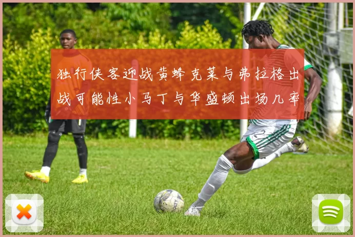 独行侠客迎战黄蜂克莱与弗拉格出战可能性小马丁与华盛顿出场几率高
